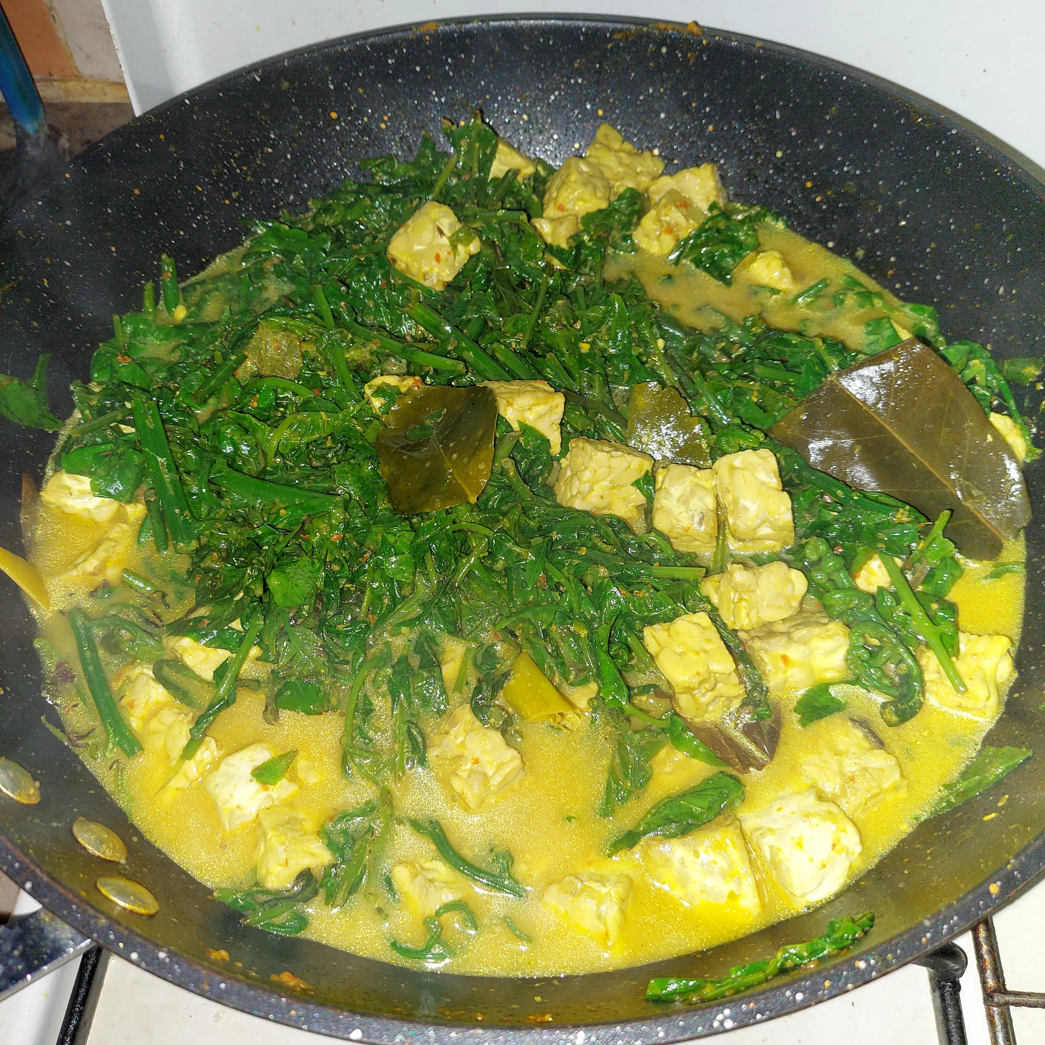 Step 6 Gulai Daun Pakis