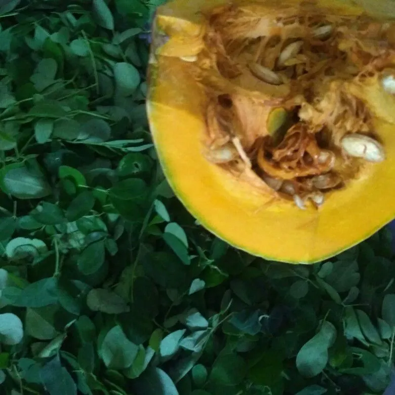 Step 1 Sayur Bening Kelor Labu Kuning