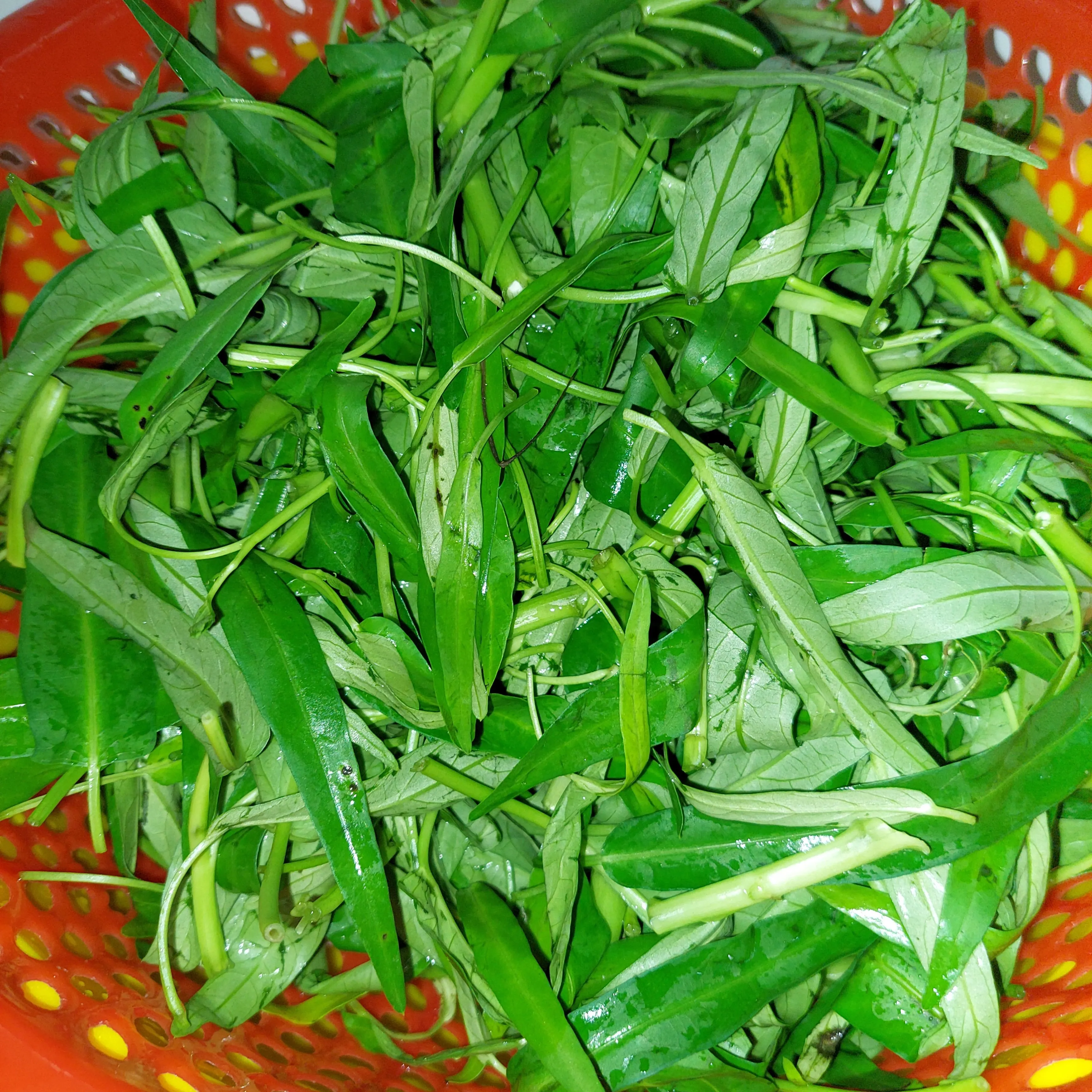Step 1 Tumis Kangkung Bumbu Ebi