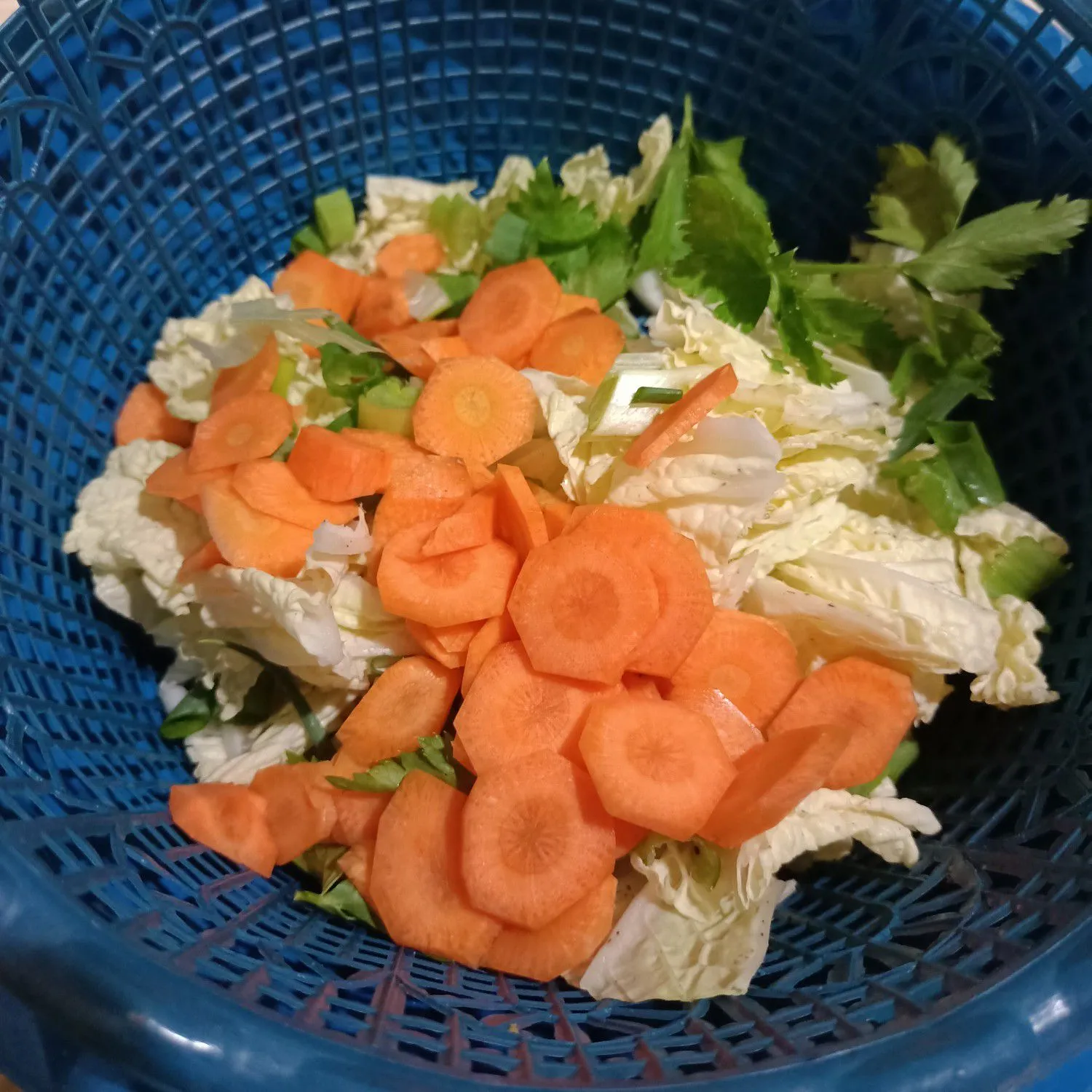Step 2 Sop Daging Sapi