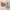 Choconut Cookies