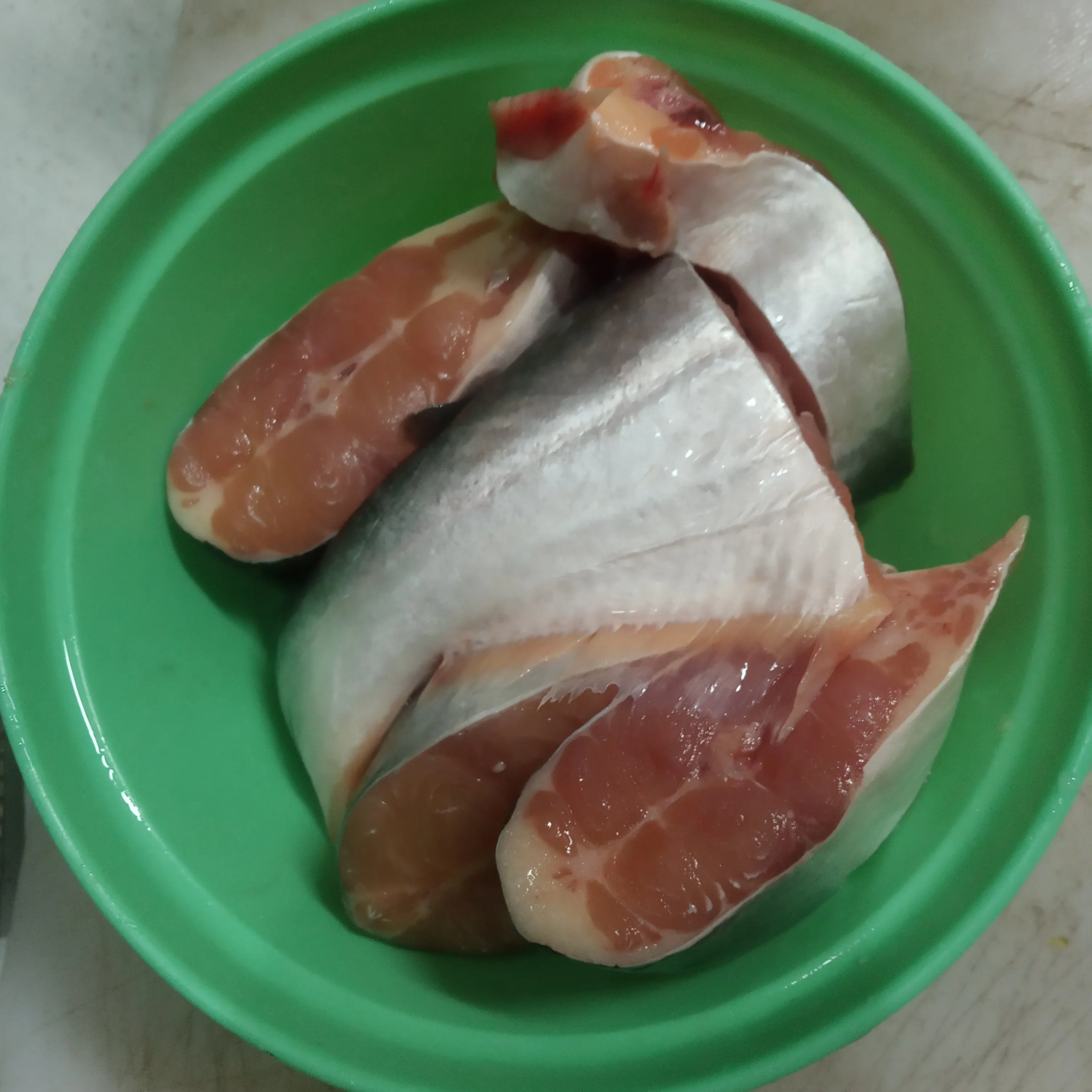 Step 1 Santan Patin