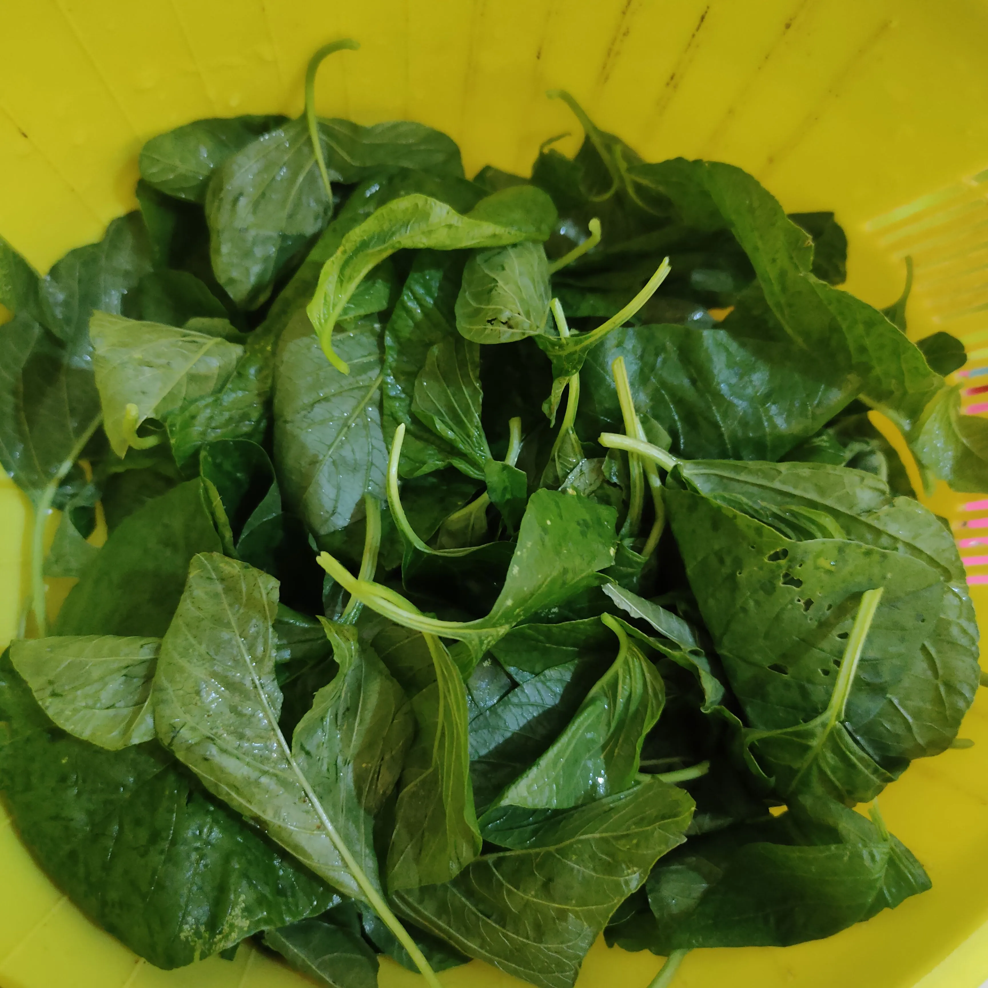 Step 1 Sayur Bayam Oyong Wortel Bening