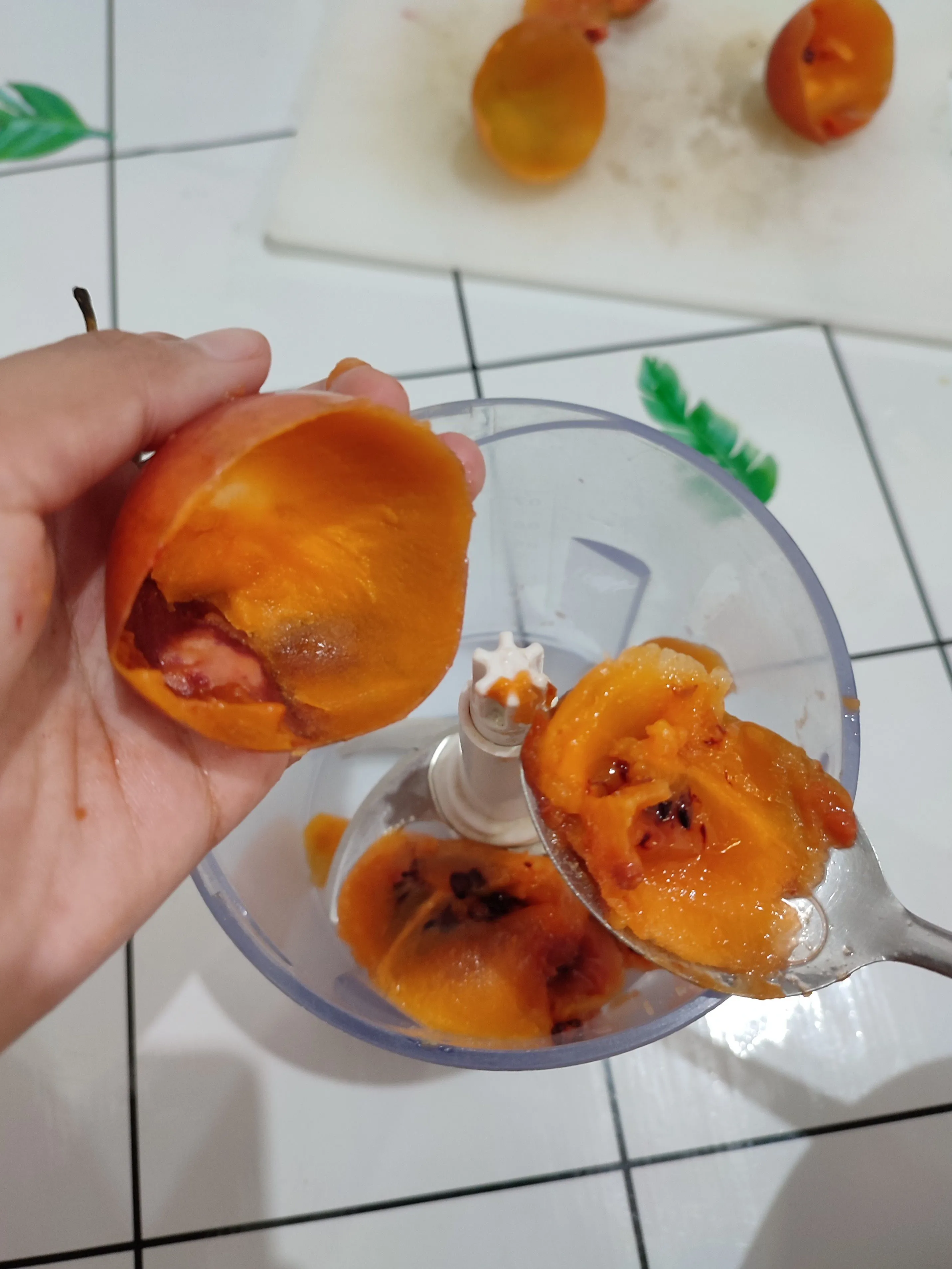 Step 3 Jus Terong Belanda Original