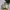 Green Italian Soda