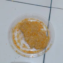 Kemudian gulingkan ke tepung panir hingga rata.