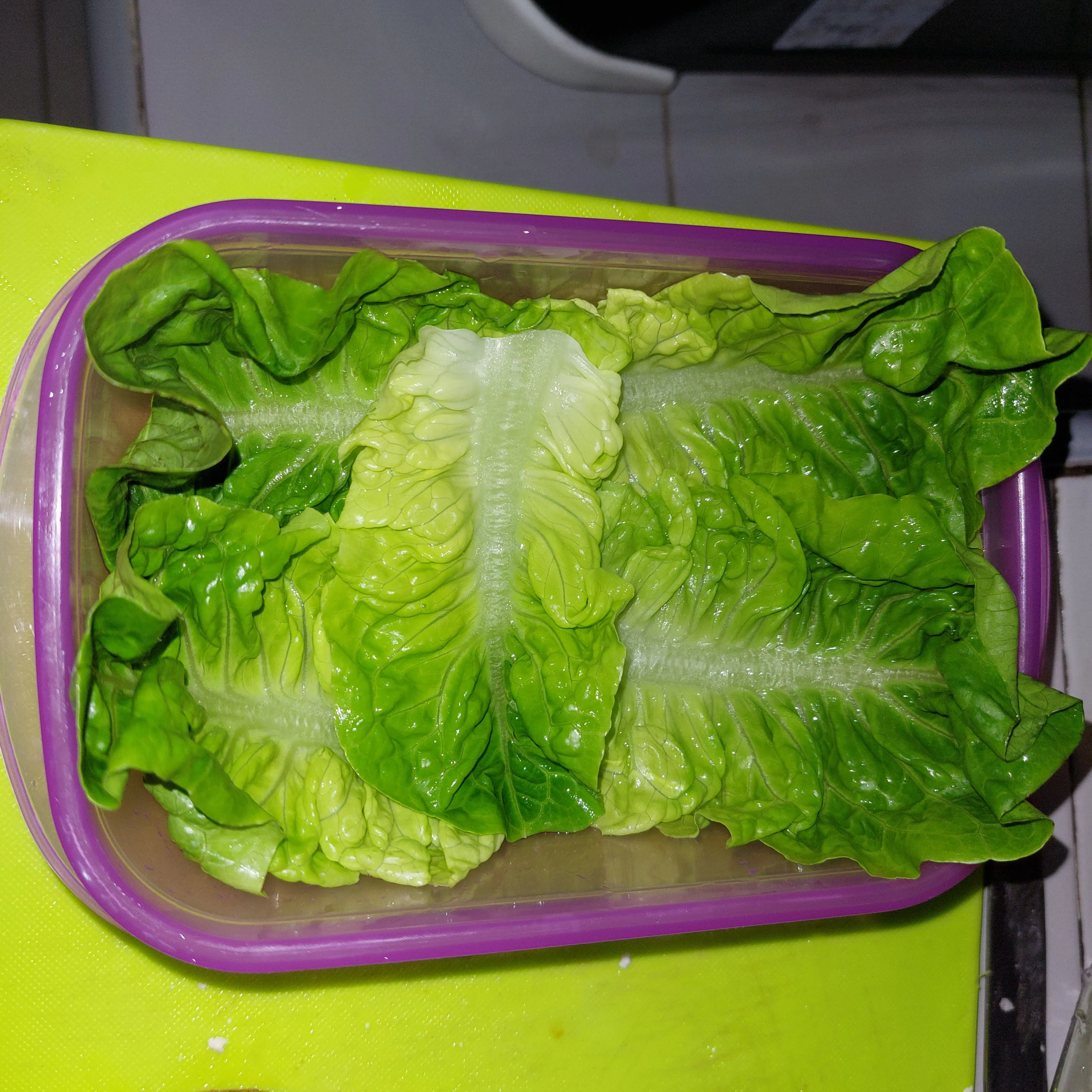 Step 8 Nasi Telur Tahu Charaben Ayam Bento