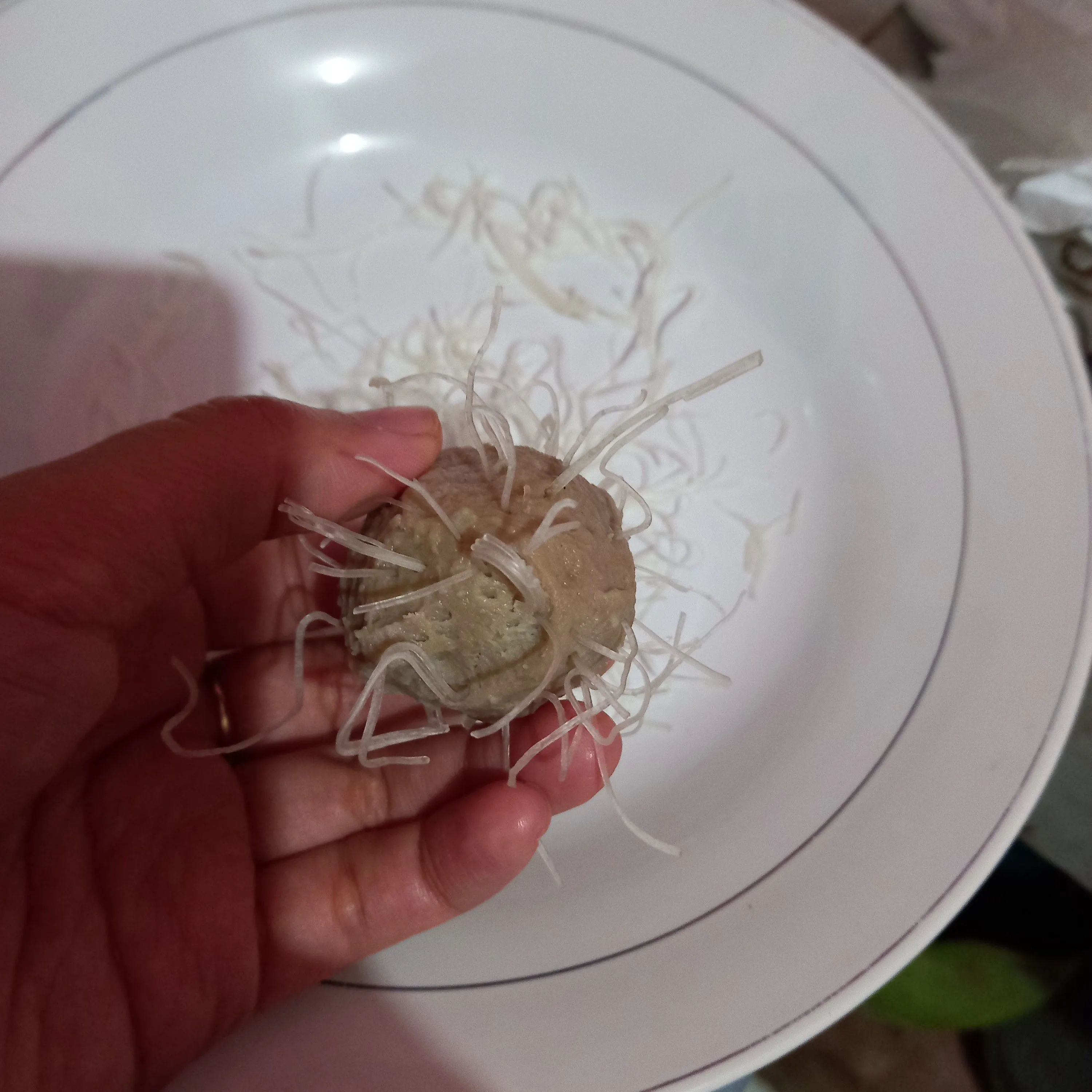 Step 4 Bakso Goreng Kribo