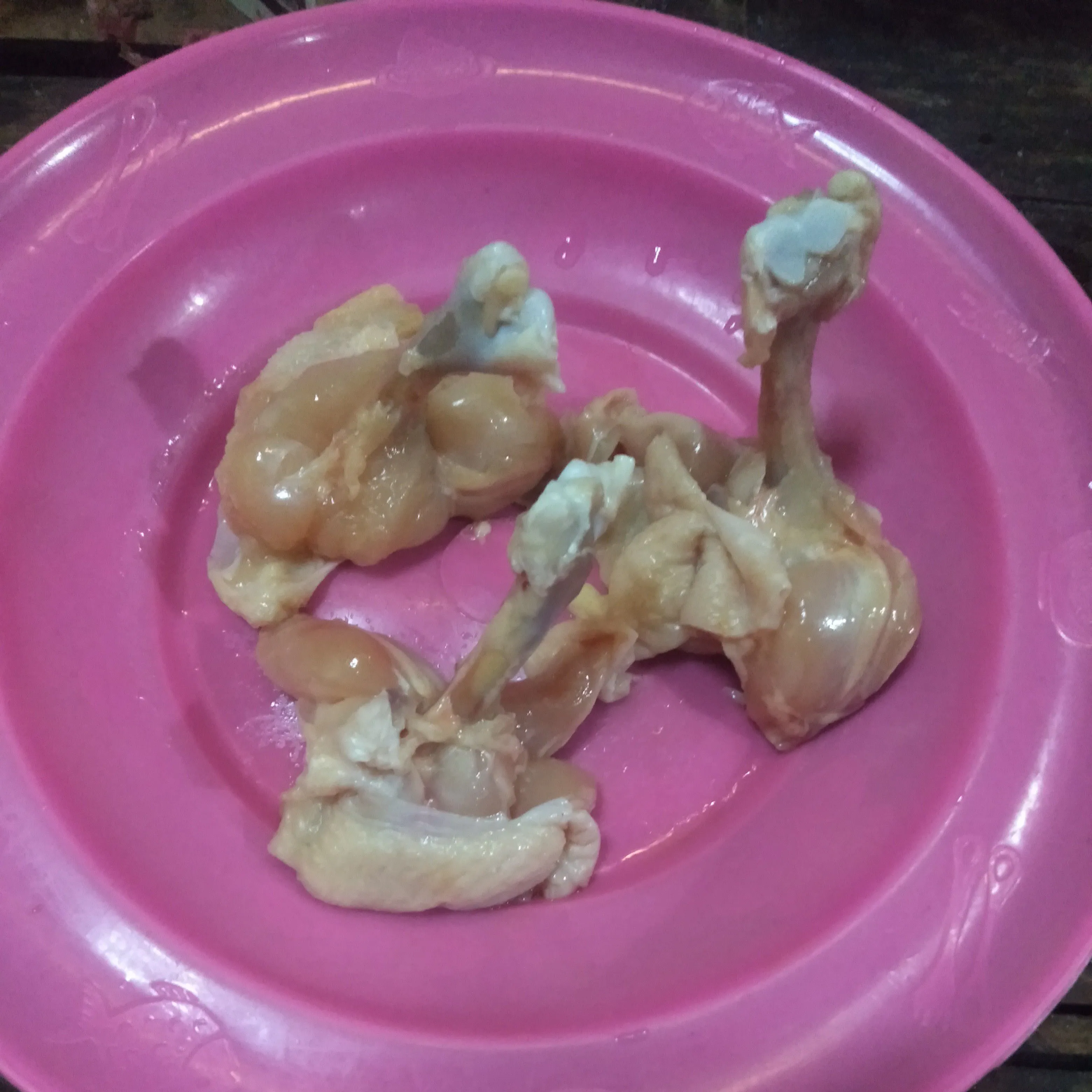 Step 2 Chicken Drum Stick Bekal Sekolah