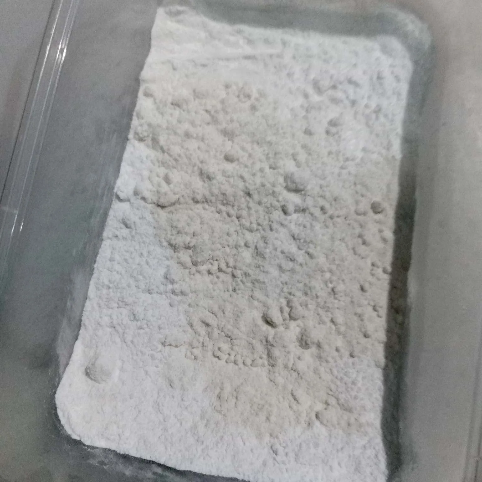 Step 2 Kids Lunch Jamur Krispi