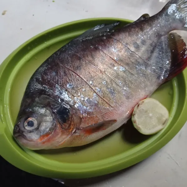 Buang kotoran ikan, cuci sampai bersih lalu lumuri dengan air perasan jeruk nipis, diamkan 5-10 menit