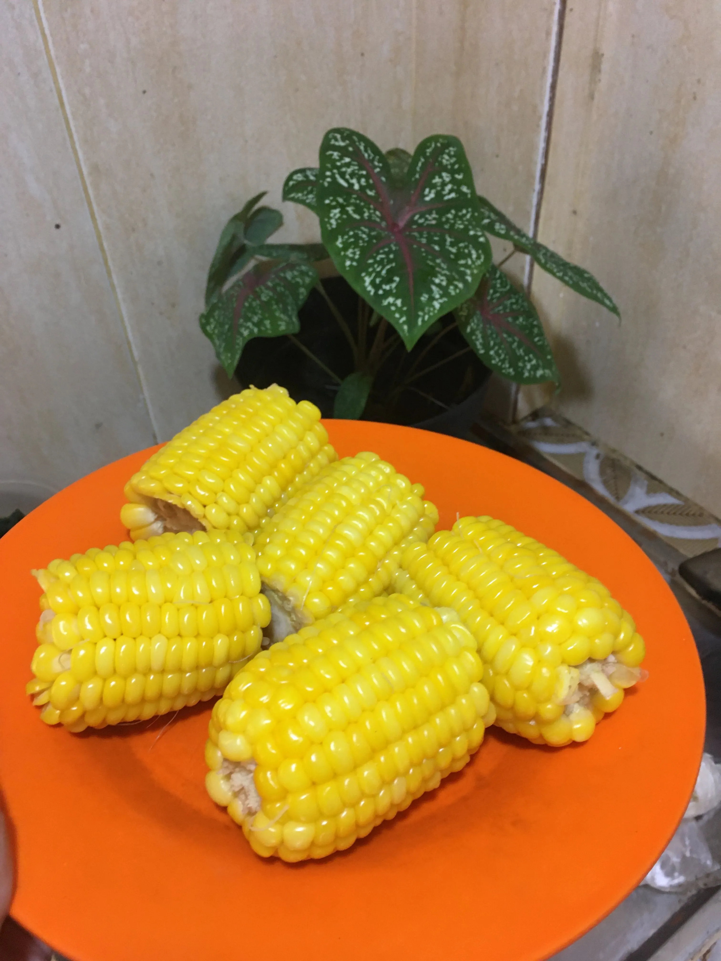 Step 5 Jagung Rebus Diet