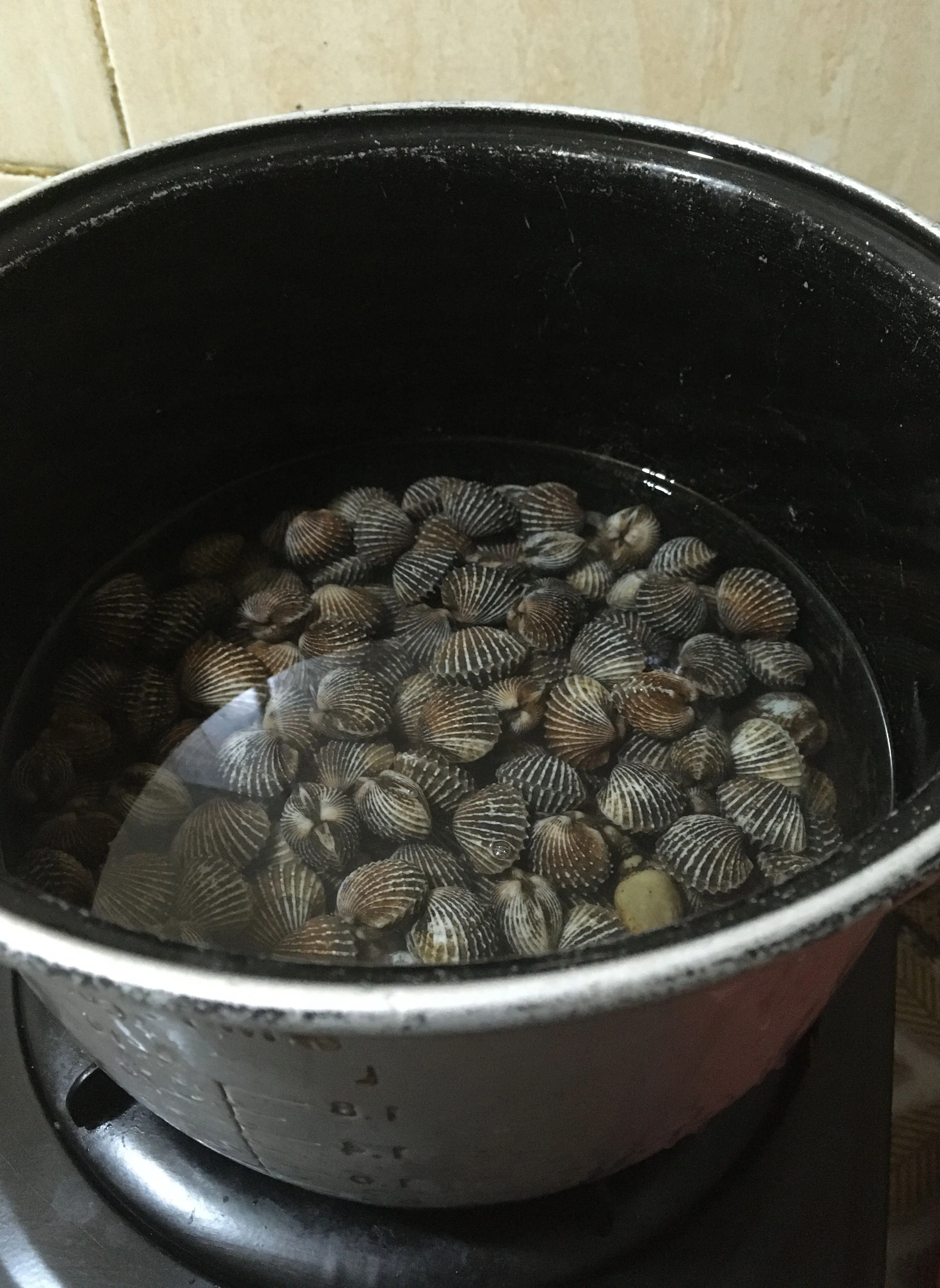 Step 1 Sup Kerang Dara