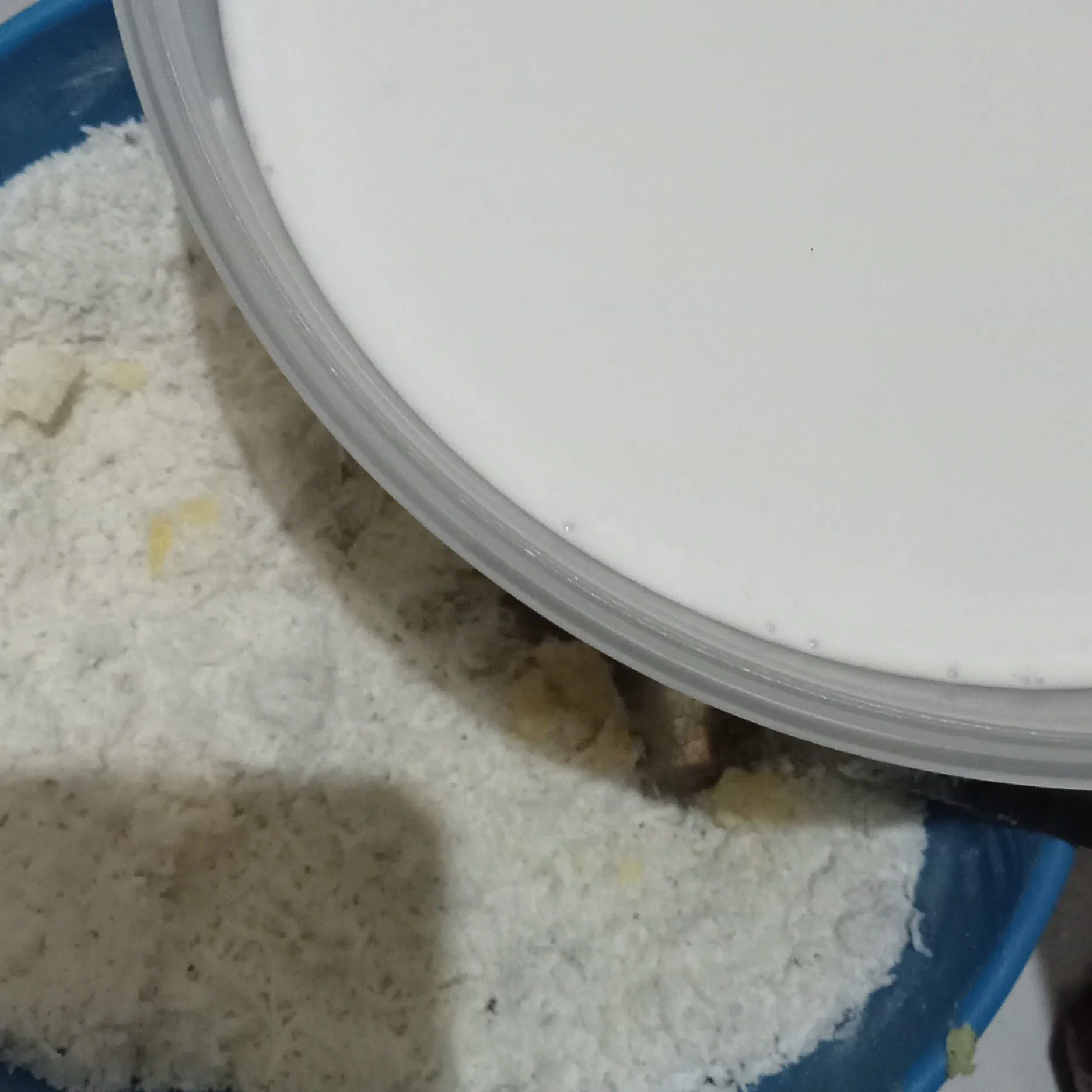 Step 5 Wingko Babat Teflon
