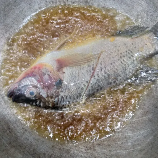 Panaskan minyak goreng ikan hingga matang angkat tiriskan.