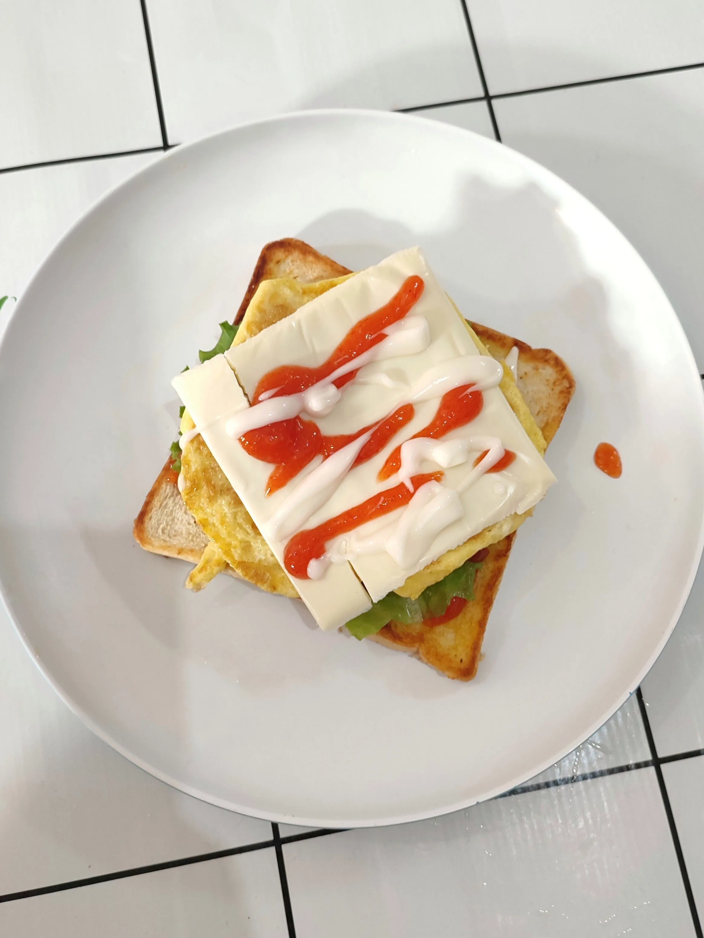 Step 6 Beef Cheese Sandwich