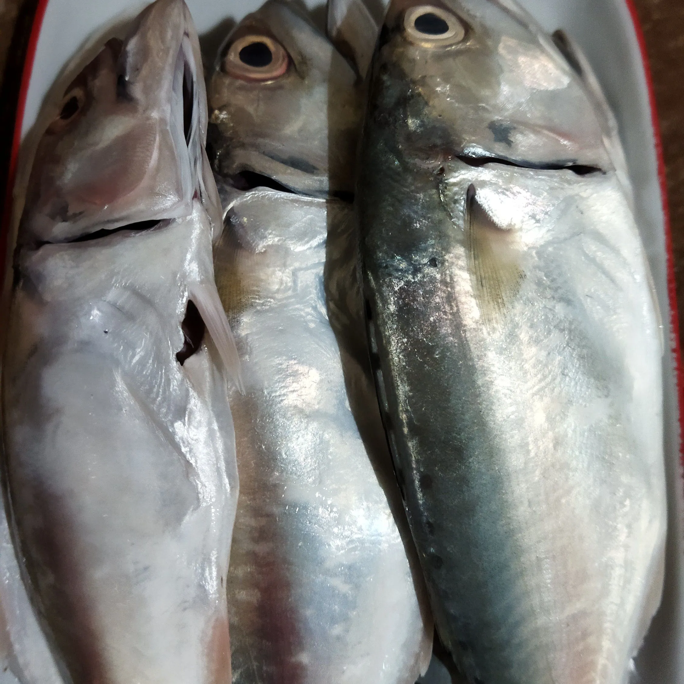 Step 1 Tim Ikan Kuah Asam