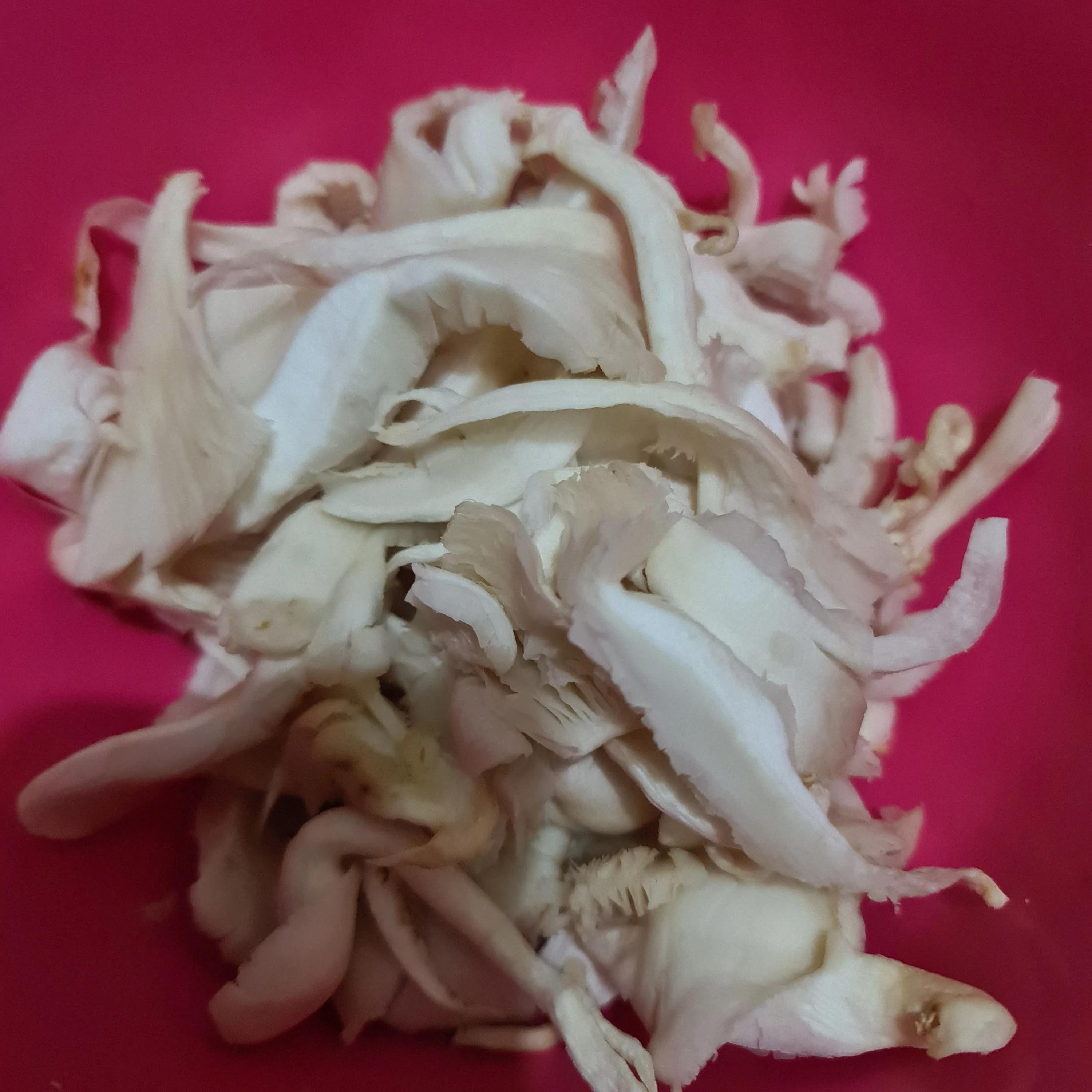 Step 1 Tumis Jamur