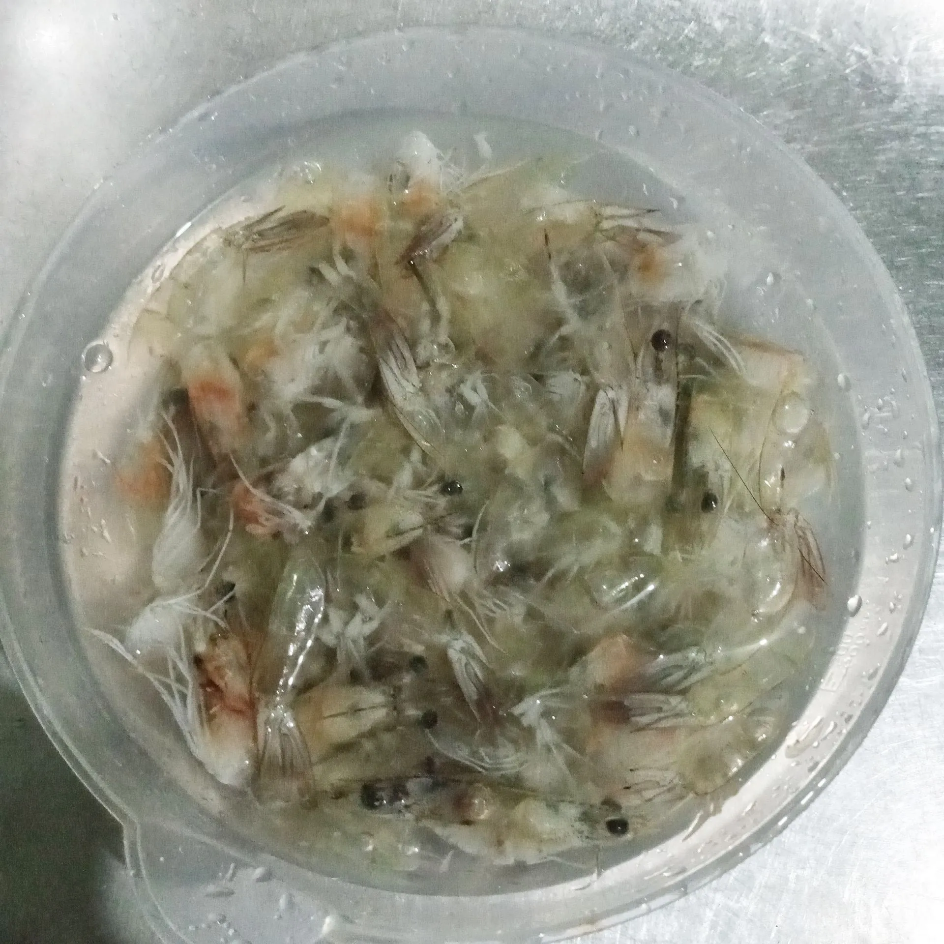 Step 1 Kaldu Udang Rumahan