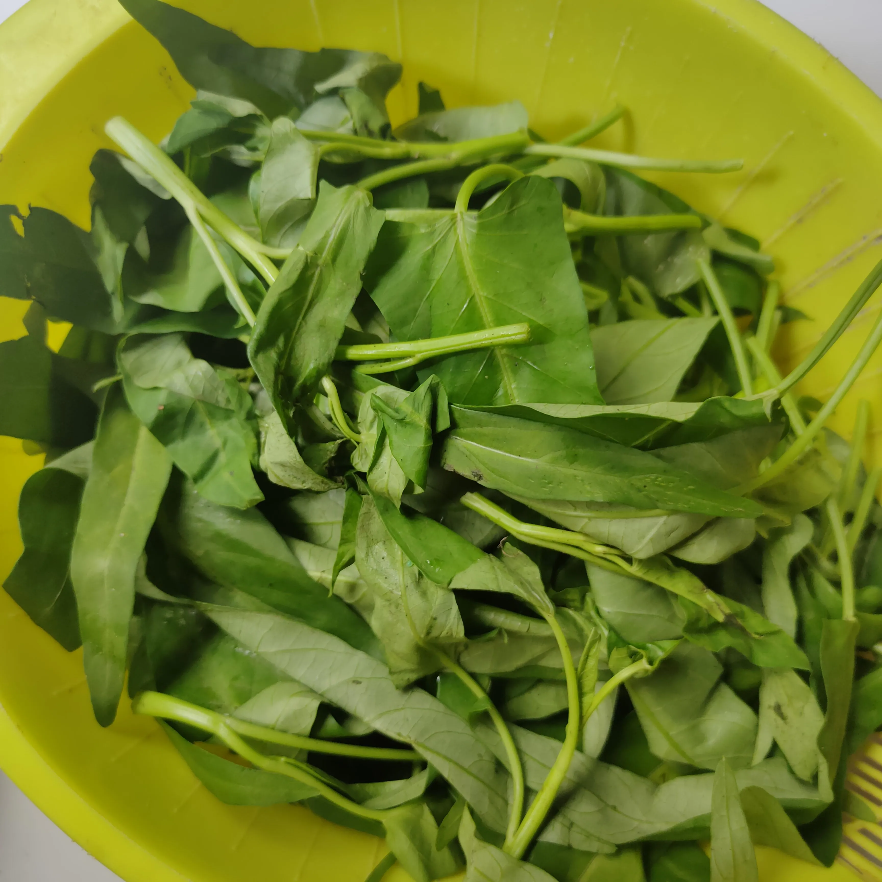 Step 1 Kangkung Rebus Sambal Tomat Terasi