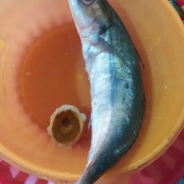 Cuci bersih ikan buang ingsang nya.