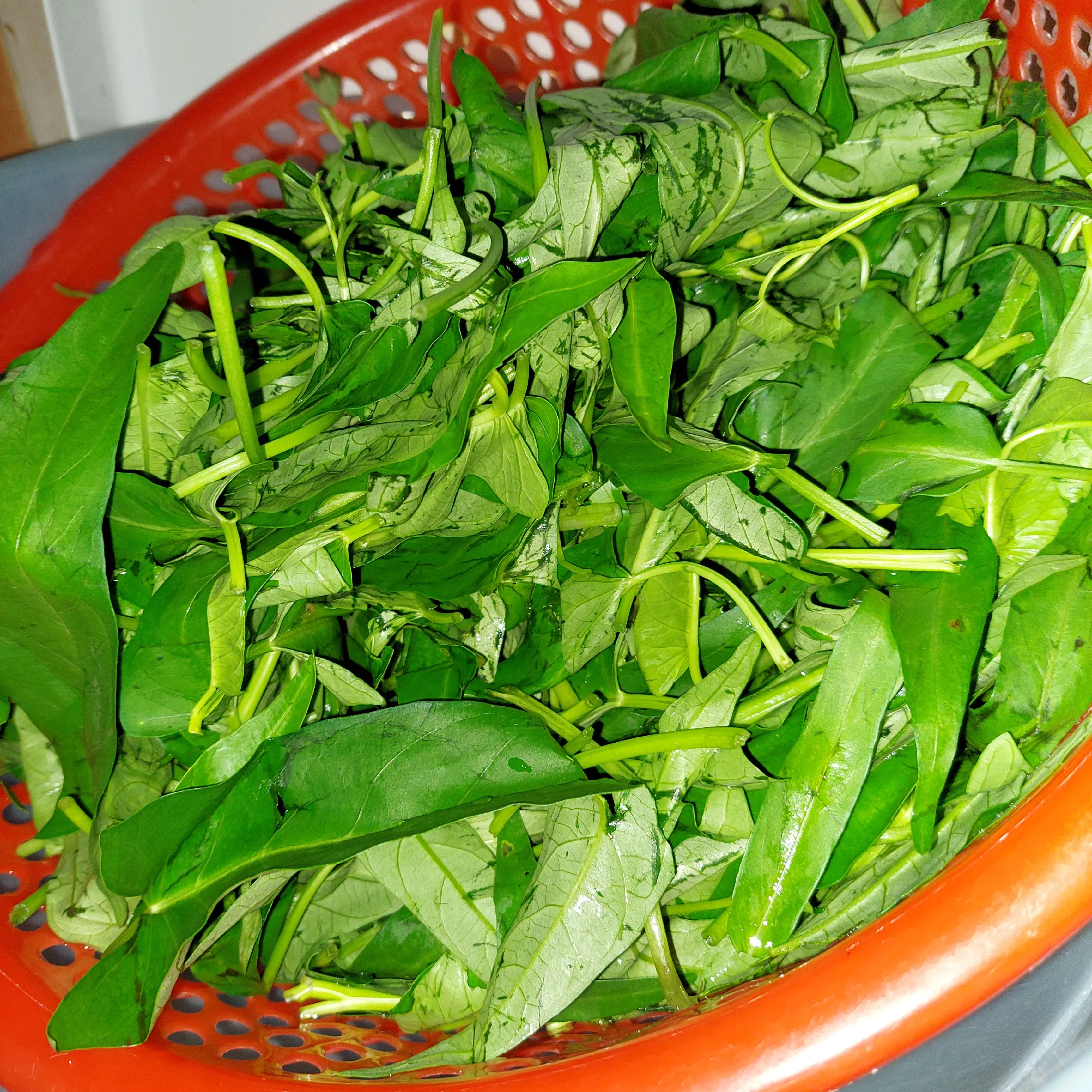 Step 1 Cah Kangkung Ayam Saos Teriyaki
