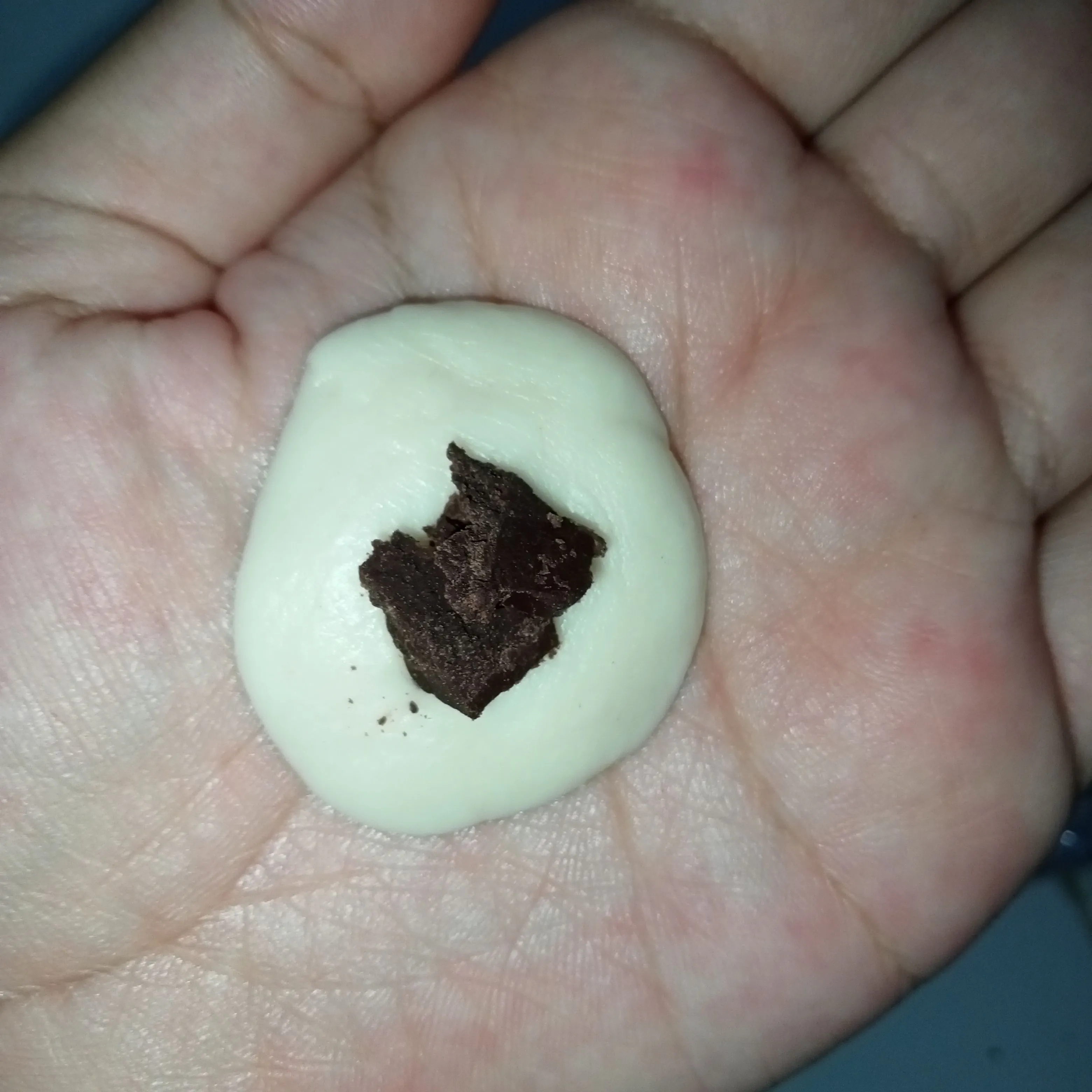 Step 5 Bakpao Kacang Polong Merdeka