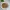 Tumis Sayur Asin Daging Cincang