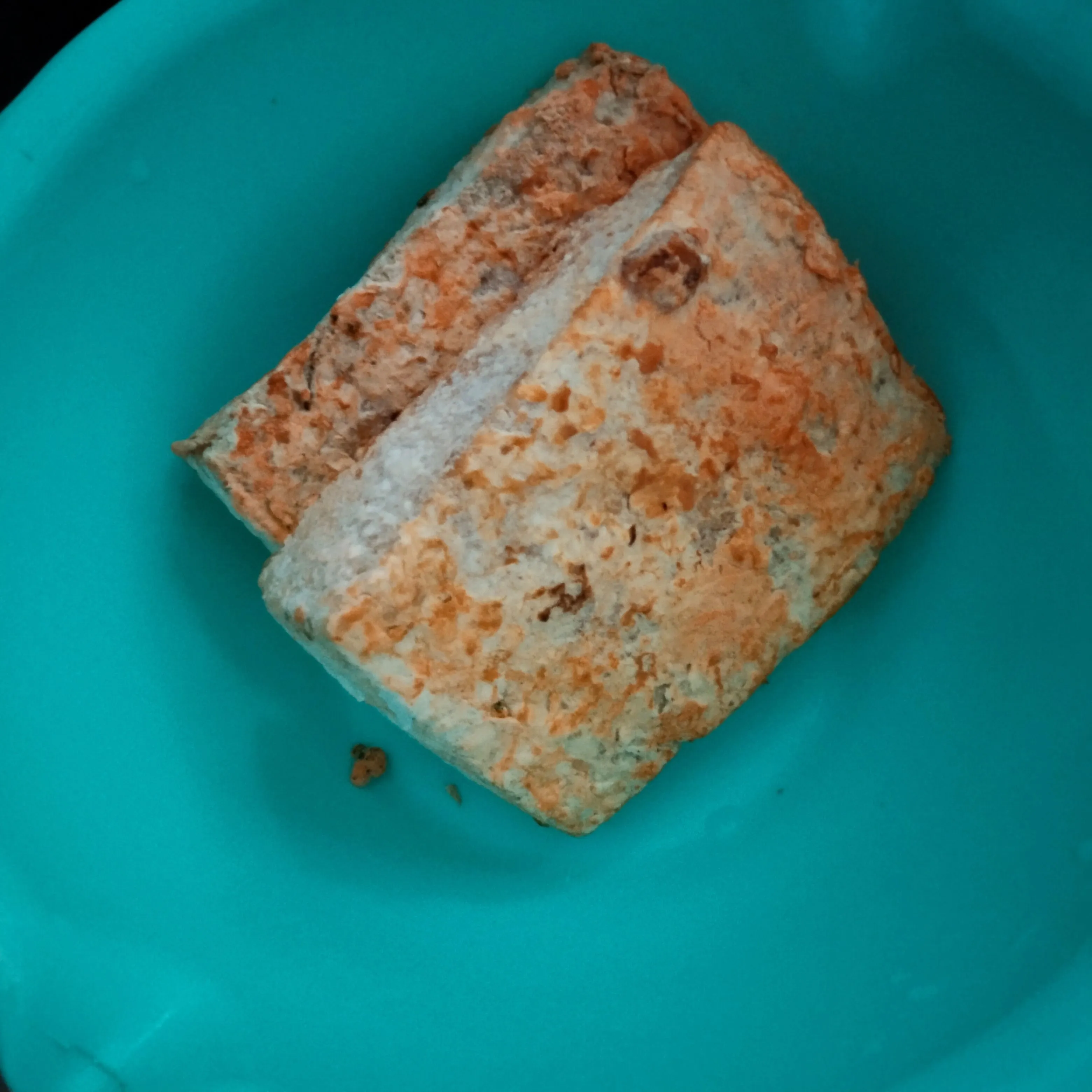Step 1 Dage Goreng Tepung Khas Cirebon