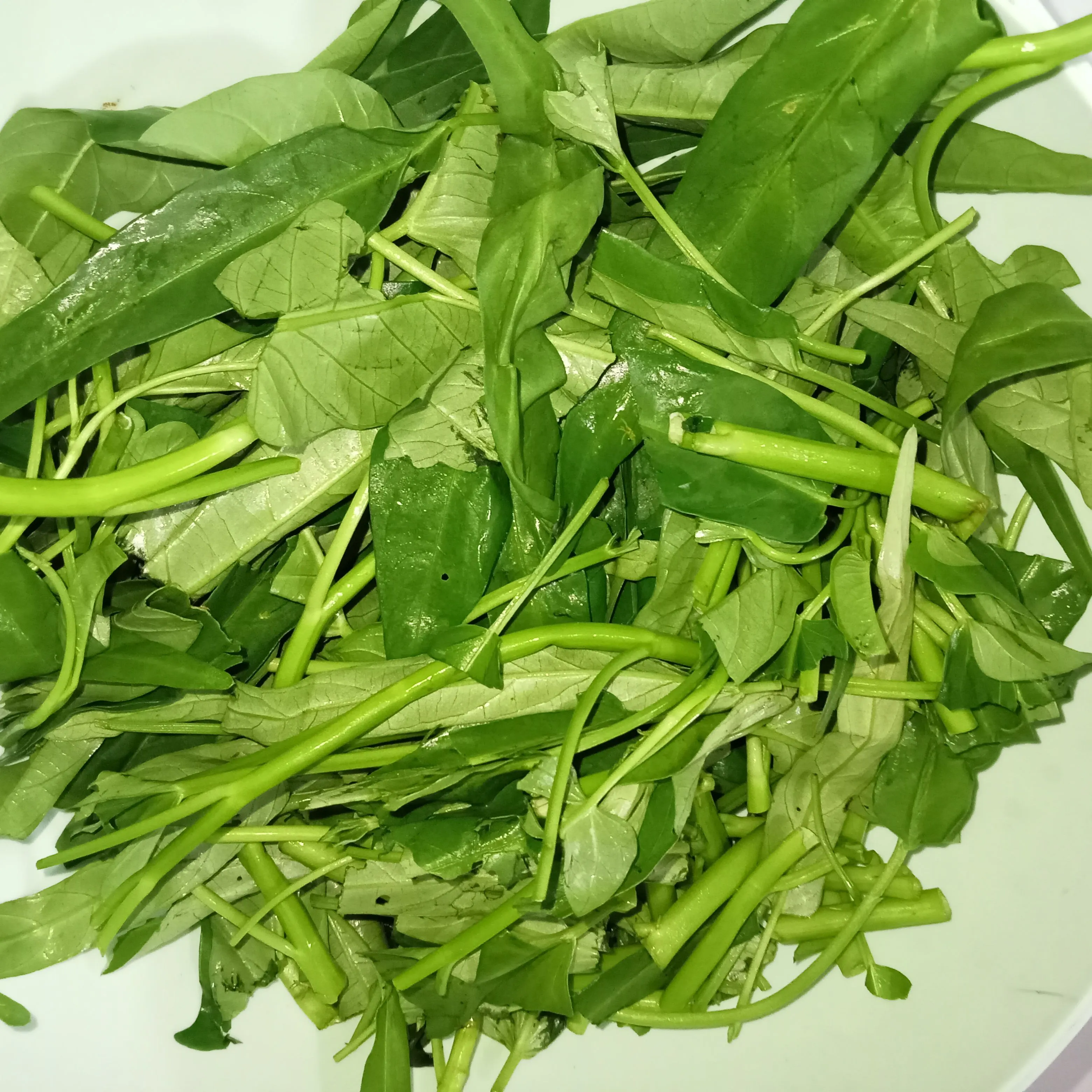 Step 1 Cah Kangkung Ebi