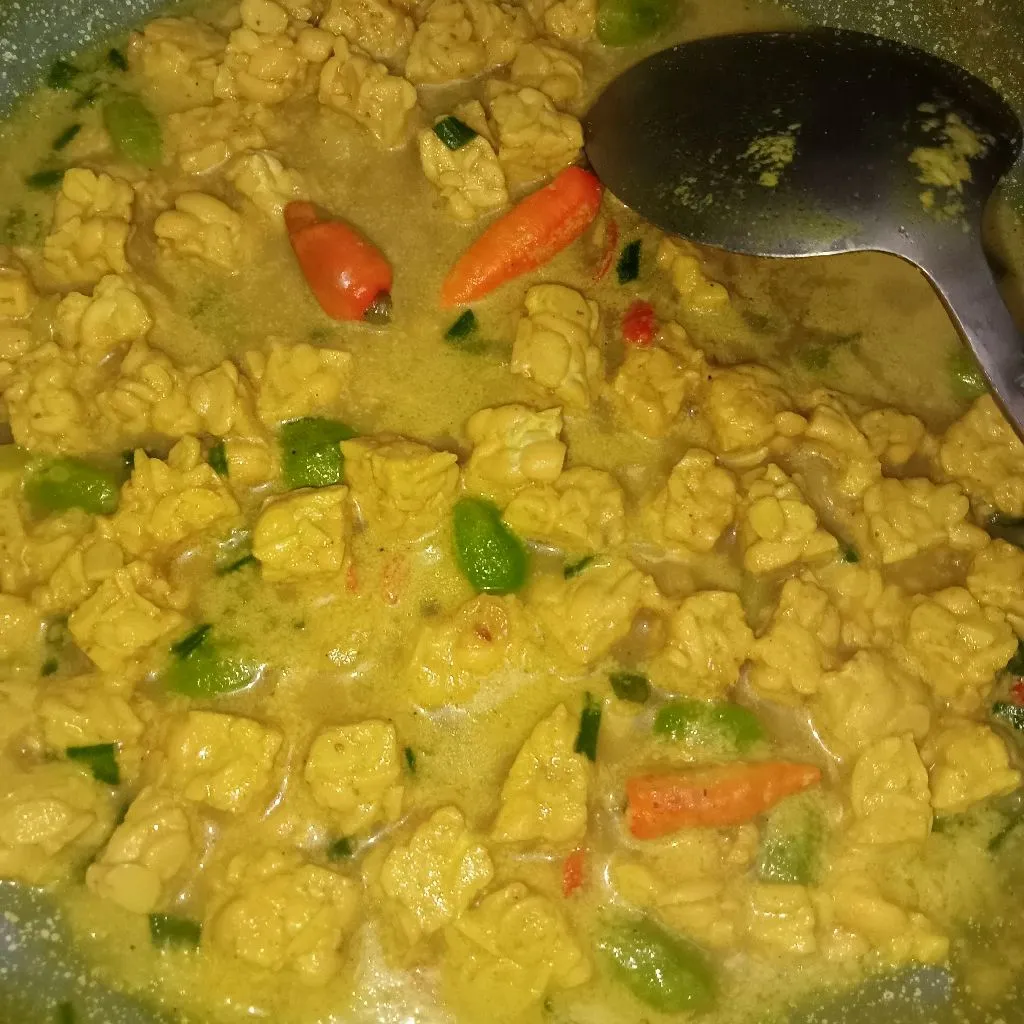 Step 5 Tempe Kuah Santan