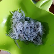 Cuci bersih ikan teri nasi, lalu tiriskan.