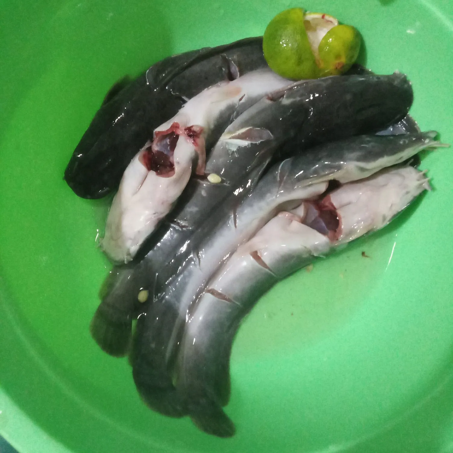 Step 1 Lele Goreng Aroma Bawang