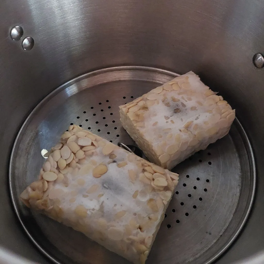 Step 1 Mendol Tempe