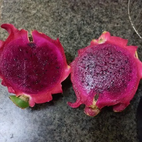 Step 1 Rot Isi Selai Buah Naga Madu