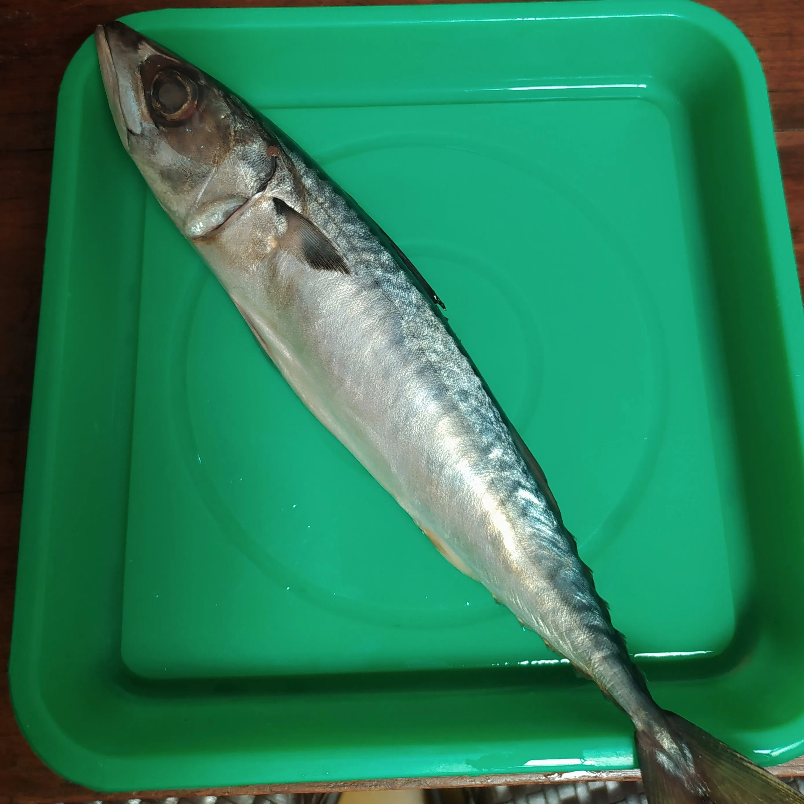 Step 1 Ikan Bakar Bumbu Padang