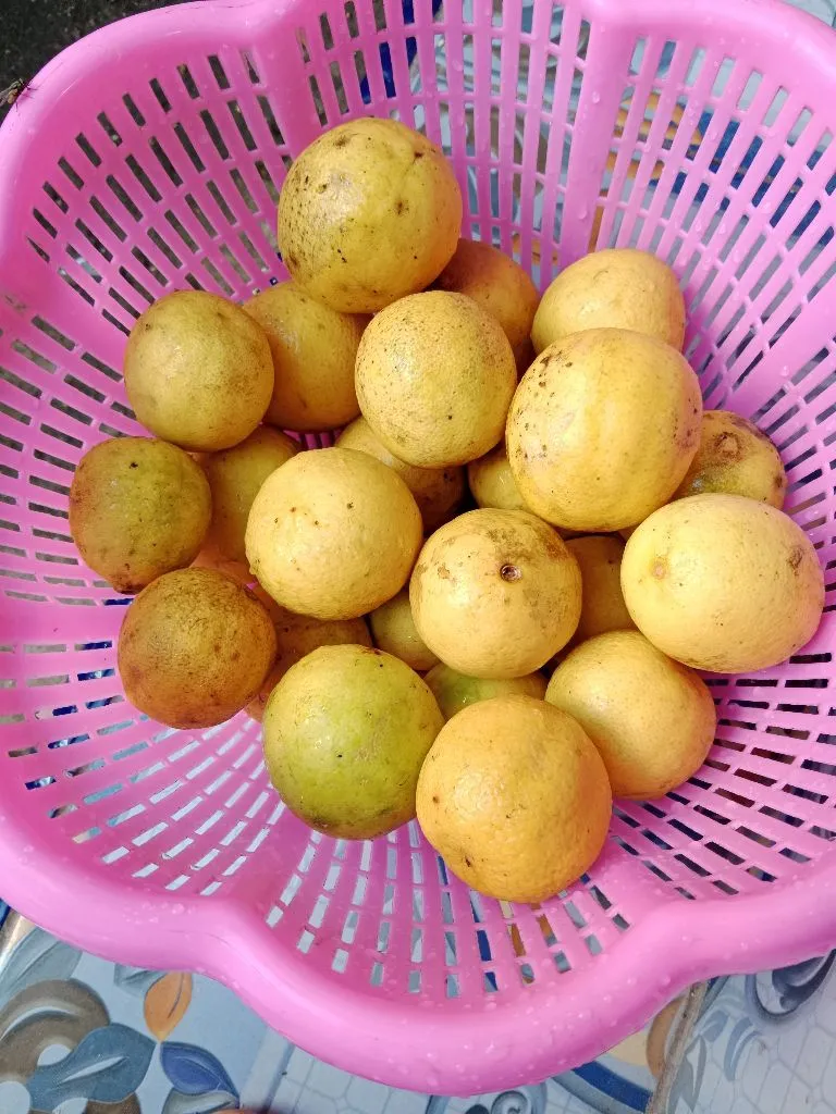 Step 1 Lime Syrup
