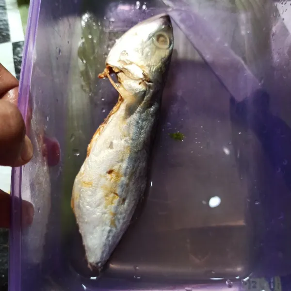 Siram ikan peda dengan air hangat, biarkan 10 menit lalu buang airnya.