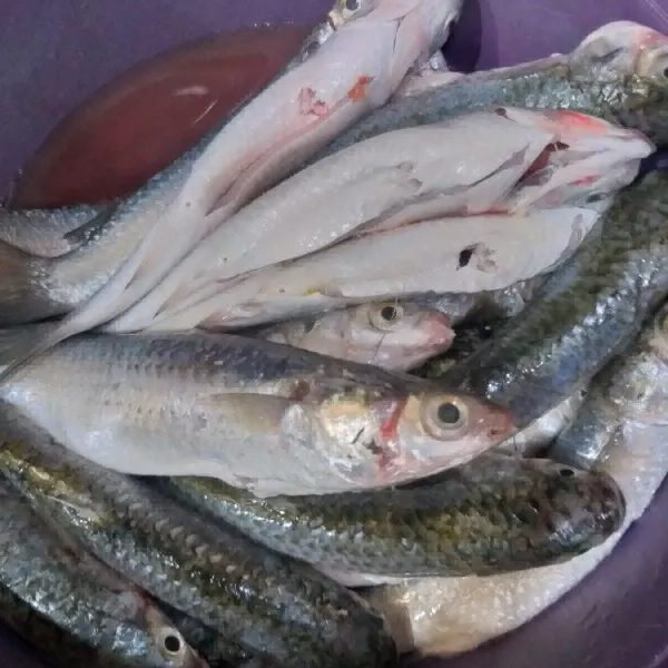Cuci bersih ikan dan lumuri dengan air perasan jeruk nipis.