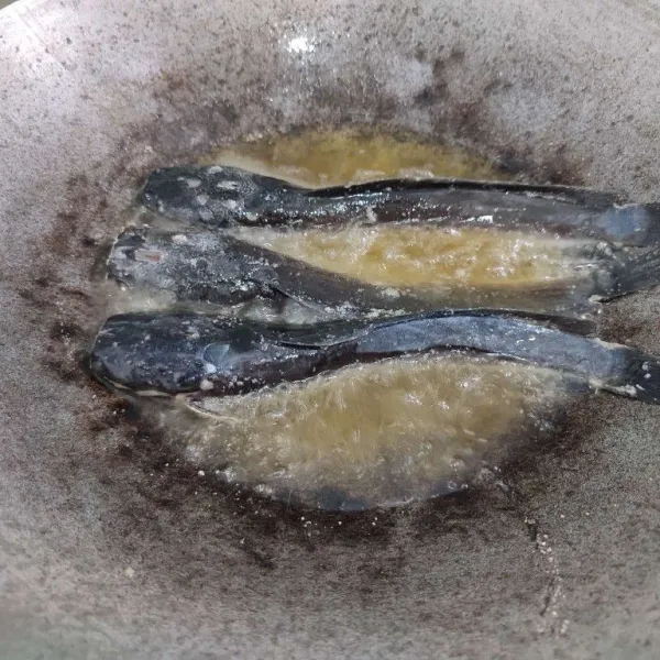 Goreng ikan lele hingga matang, angkat dan tiriskan minyaknya.