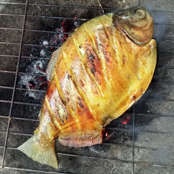 Bakar ikan di atas bara api sambil sesekali dibolak-balik hingga matang.