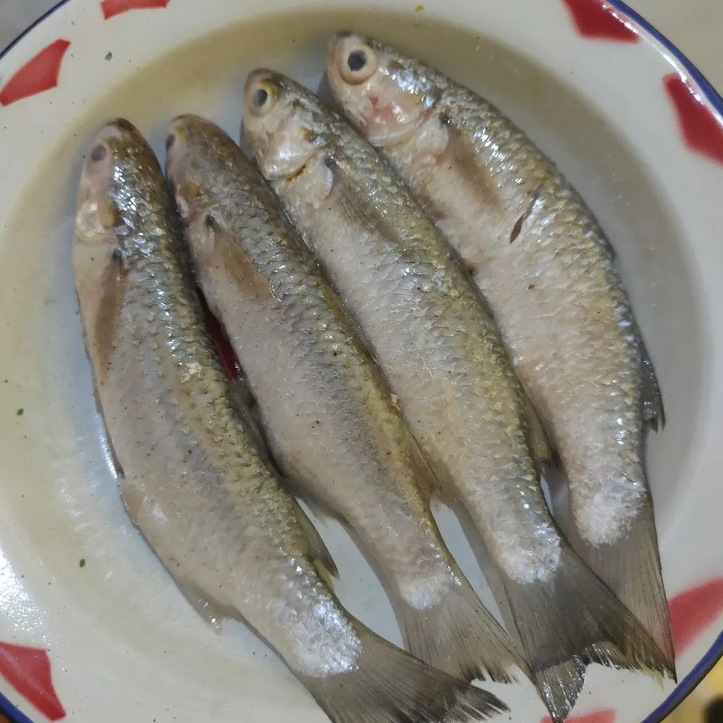 Step 3 Tim Ikan Belanak