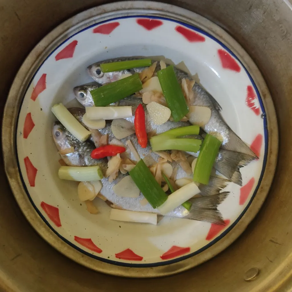 Step 5 Tim Ikan Belanak