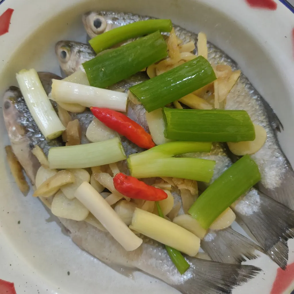 Step 4 Tim Ikan Belanak