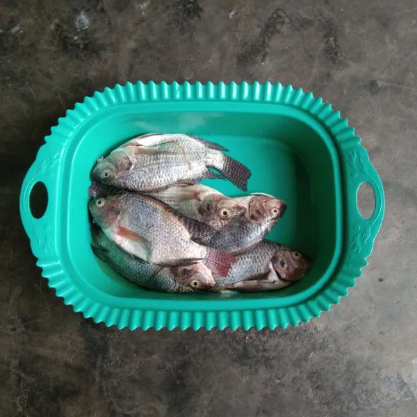 Bersihkan ikan mujaer, buang sisik dan ingsan ikan. Cuci hingga bersih.