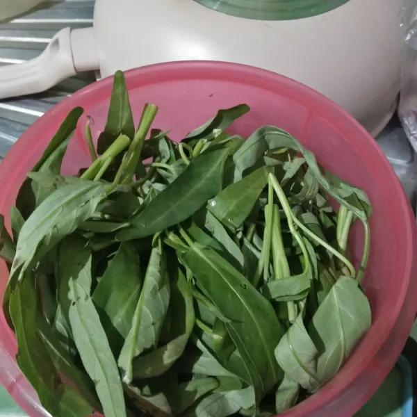 Cuci kangkung rendam dengan air garam selama 15 menit, supaya penghuni didalam batang kangkung keluar