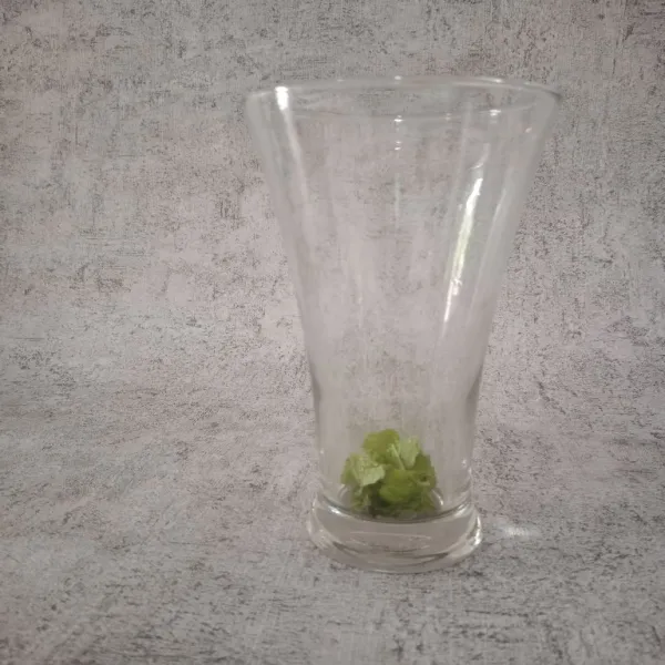 Dalam gelas masukan daun mint.