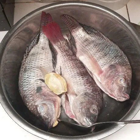 Bersihkan ikan nila. Lalu kucuri dengan perasan jeruk nipis. Ratakan. Diamkan 30 menit kemudian bilas sampai bersih.