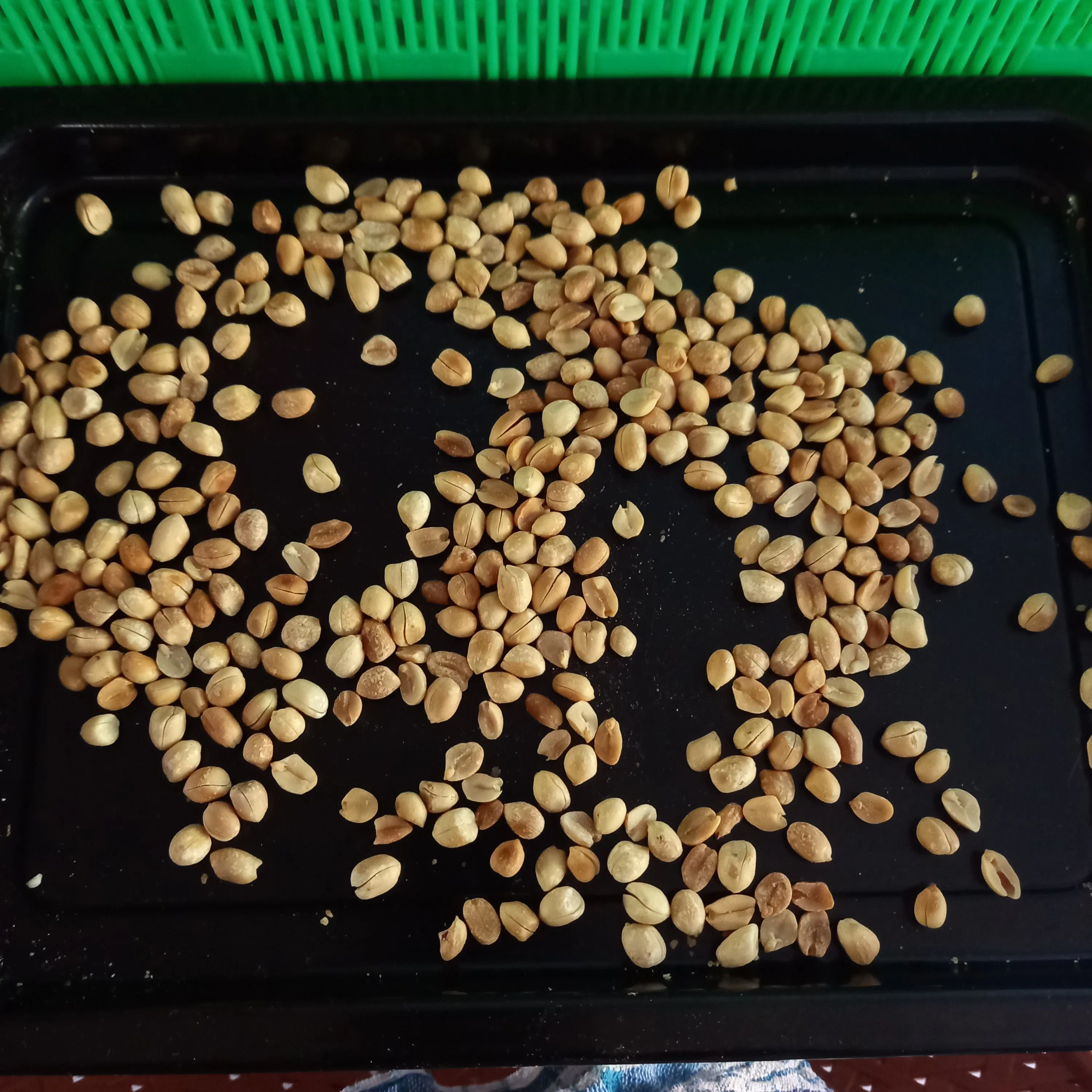 Step 1 Coklat Cetak Isi Kacang