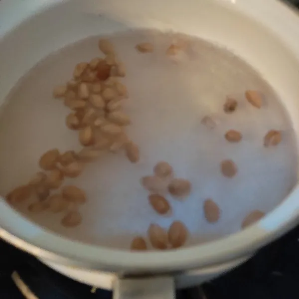 Rebus kacang tanah dengan air secukupnya hingga empuk, ganti air rebusannya supaya warnanya jernih tidak kemerahan.